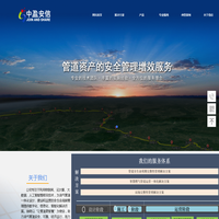 北京中盈安信技术服务股份有限公司