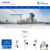 压力变送器_精密压力表_压力控制器_上海自动化仪表