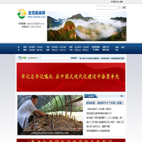 政和新闻网