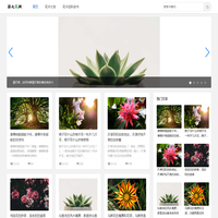 蒜之花网-探索丰富多彩的花卉世界
