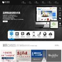 苏州网站建设_品牌设计_软件开发_APP开发 - 天奇星网络